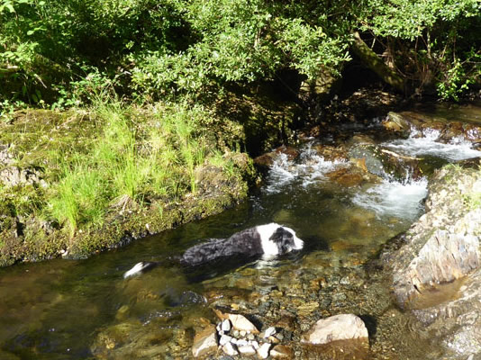 Coledale Beck