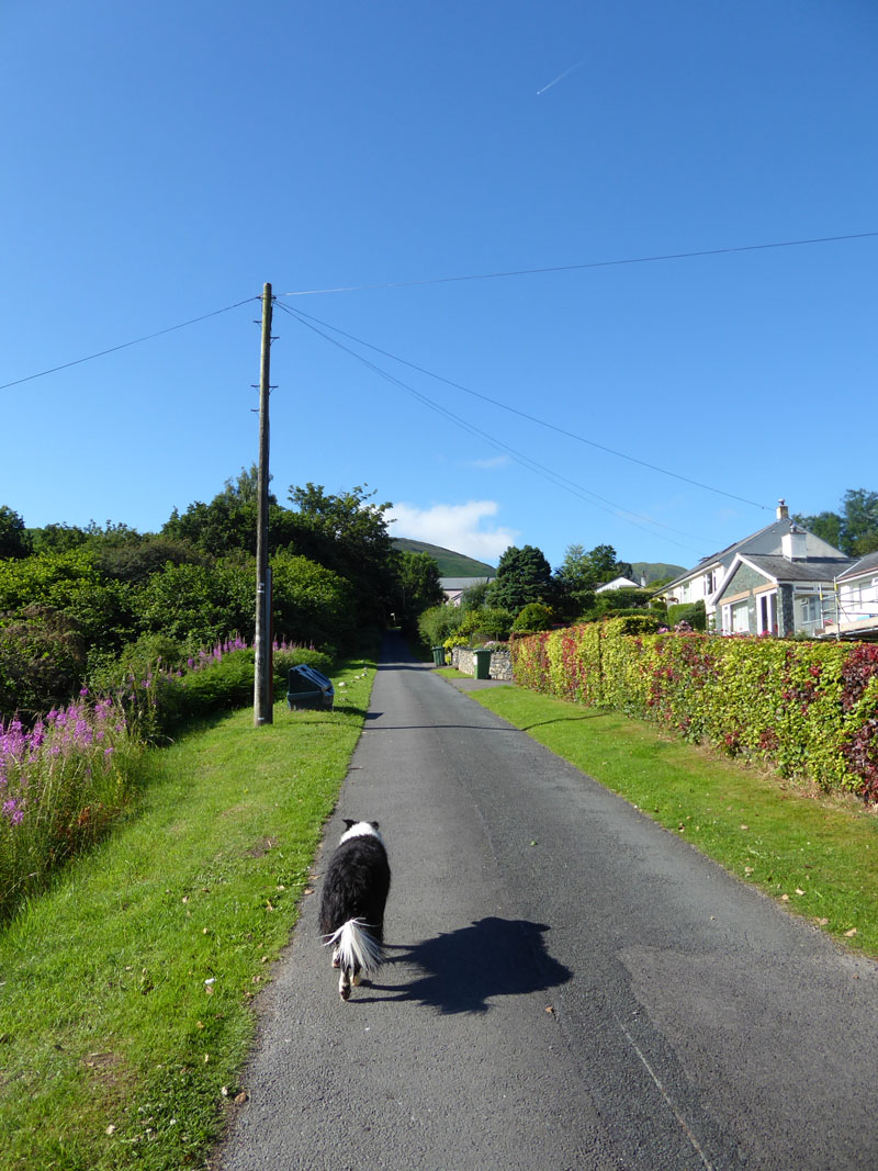 High Coledale Farm Road