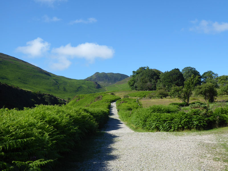 Causey Pike