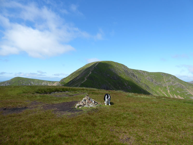 Molly Sail Summit