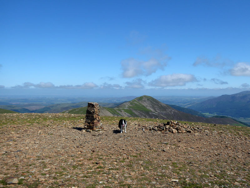 Molly Eel Crag