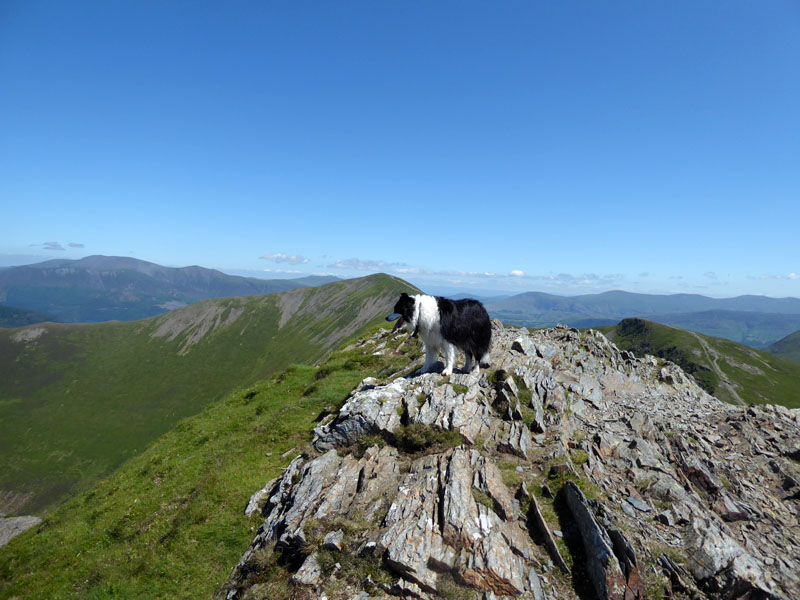 Hopegill Head Summit