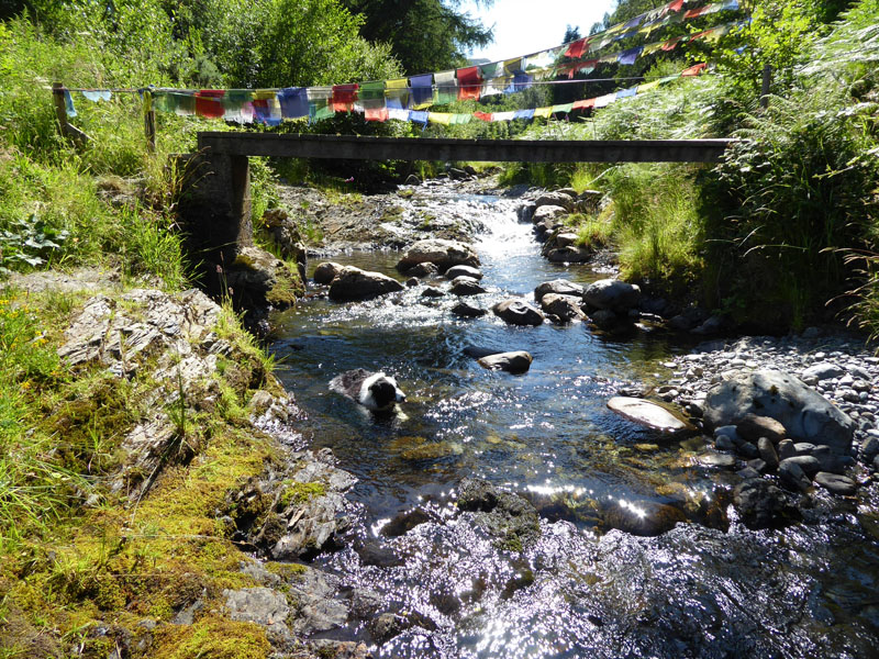 Coledale Beck