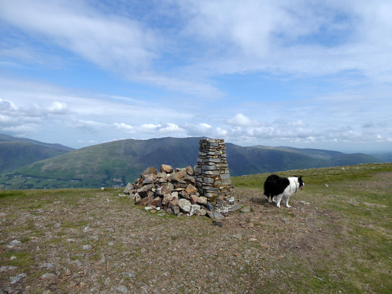 Molly Clough Head