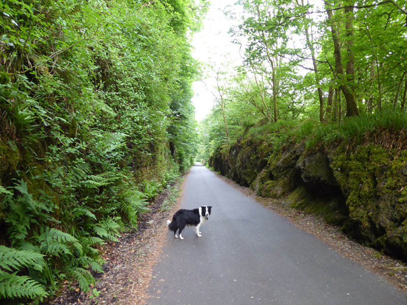 Keswick Railway Path