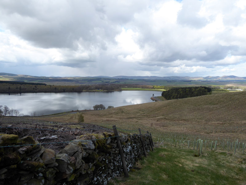 Dundreich Ascent