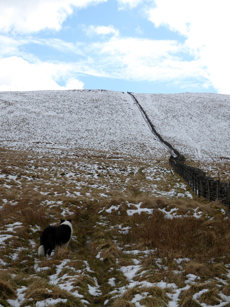 Dundreich Snow