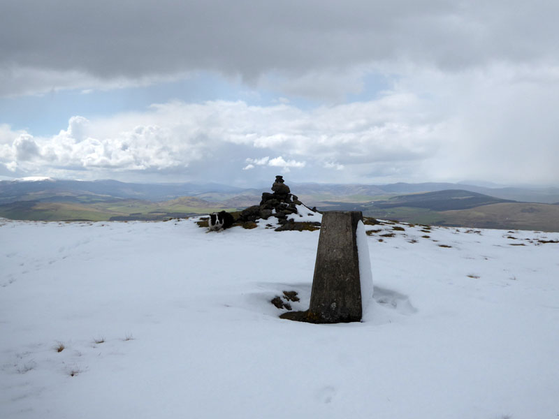 Dendreich Summit
