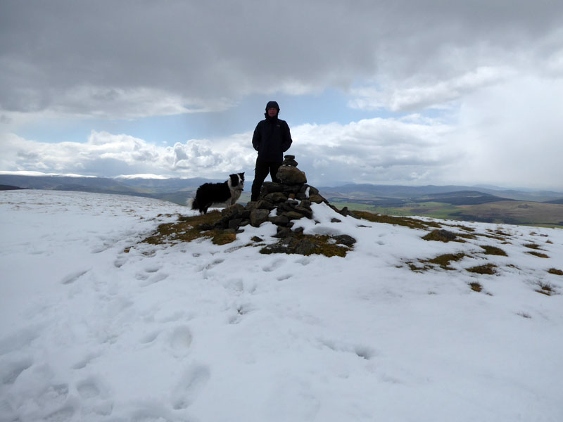 Dundreich Molly