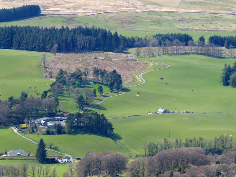 Darnhall Mains