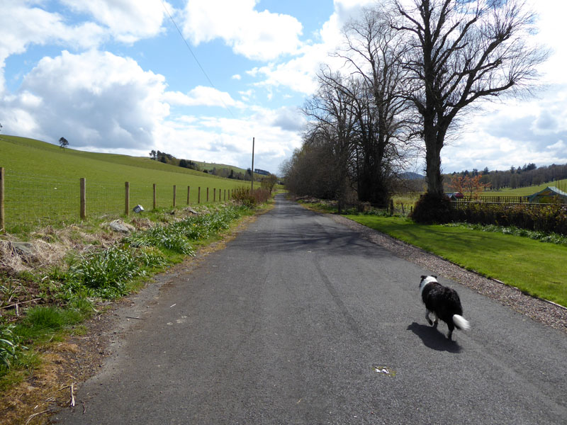Old Edinburgh Road