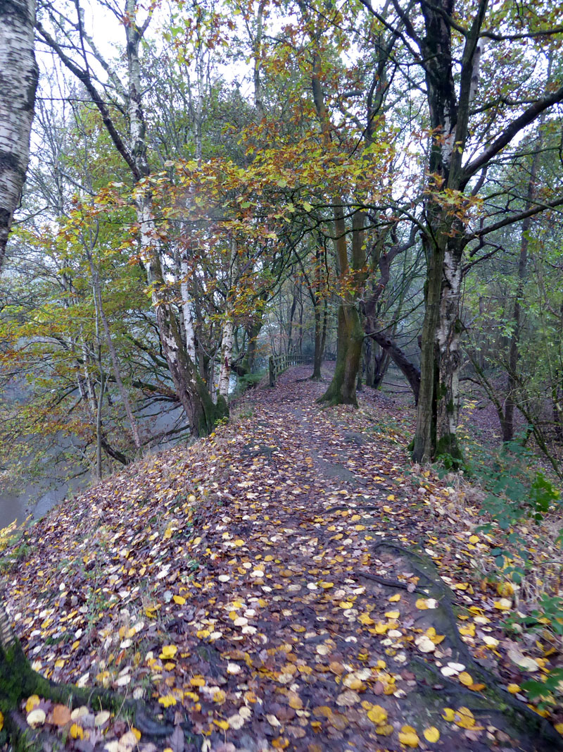 Fletchers Canal