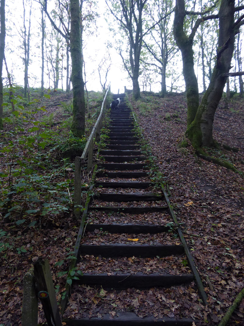 Radcliffe Rotary Way