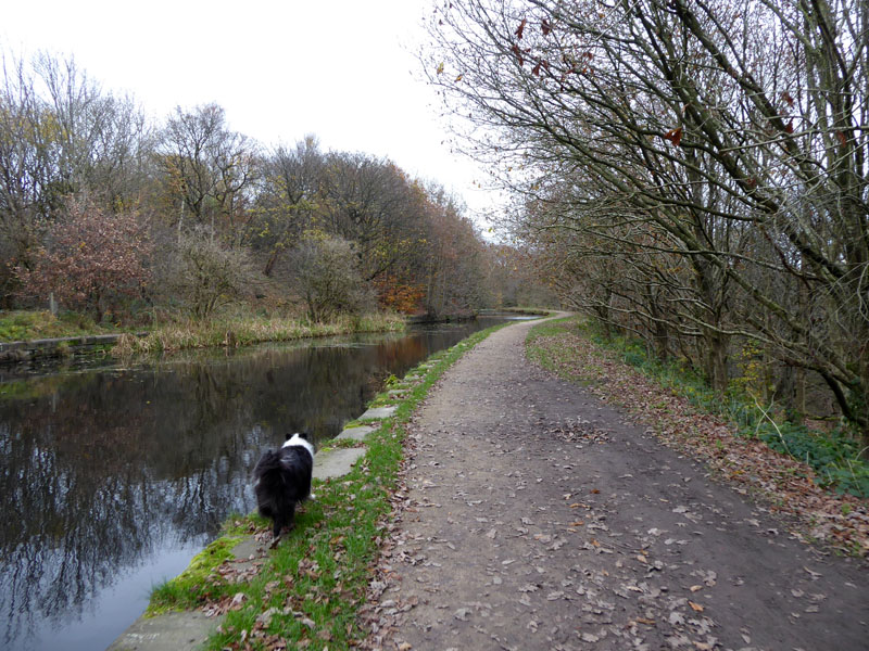 Manchester Bolton Bury Canal