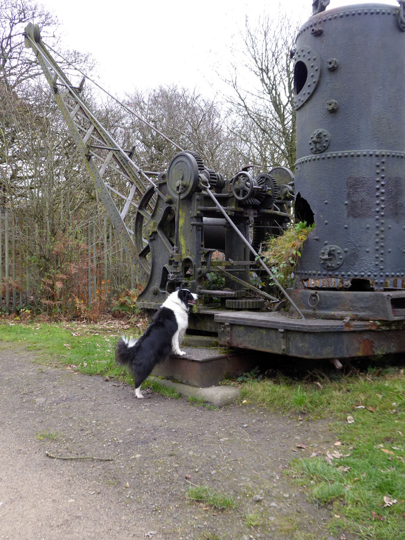 Steam powered crane