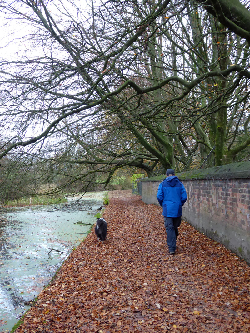 Canal Walkers