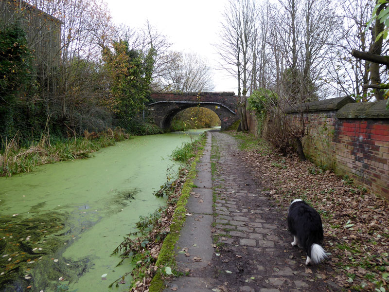 Canal bridge