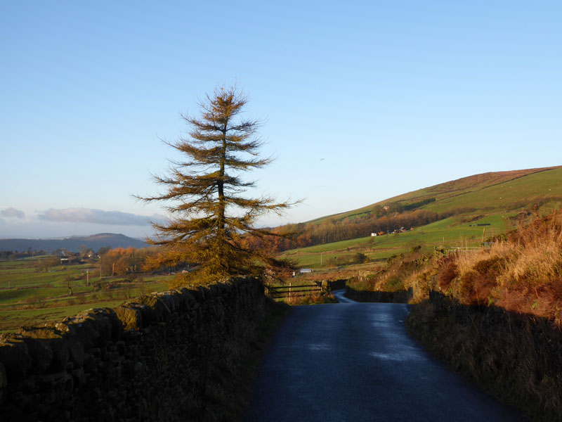 Well Head Road
