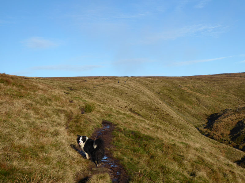 Ogden Clough