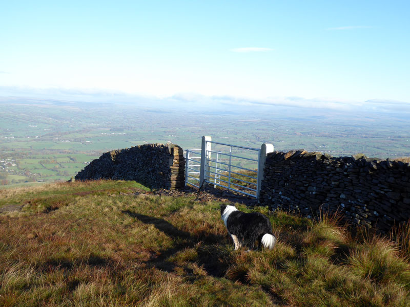 Worston Moor
