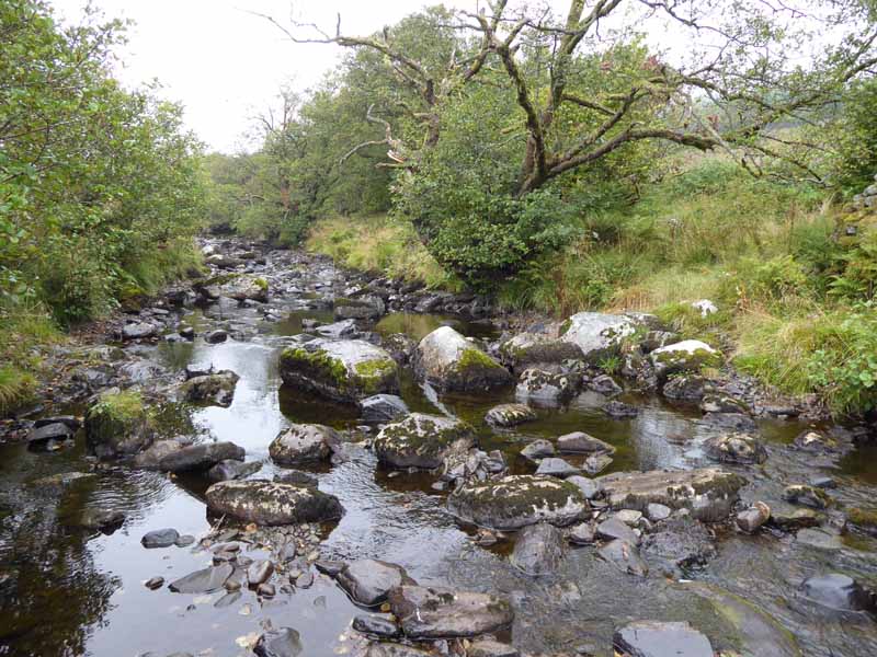 Sleddale Beck