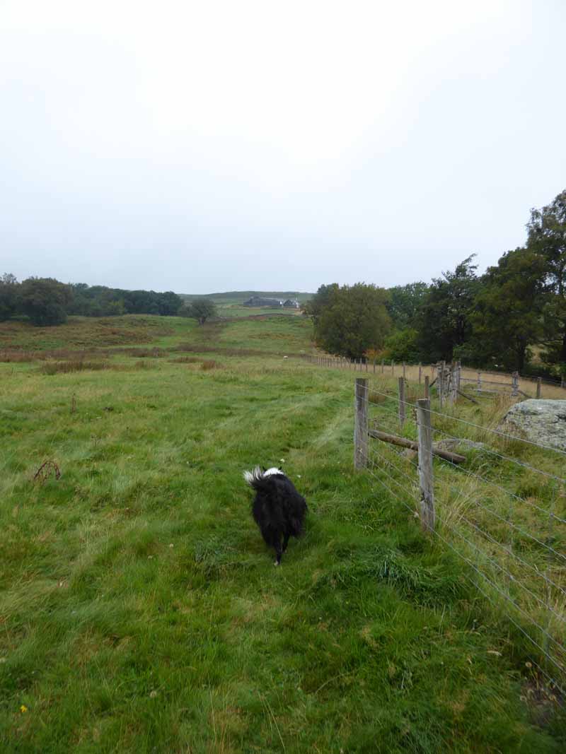 To Sleddale Hall