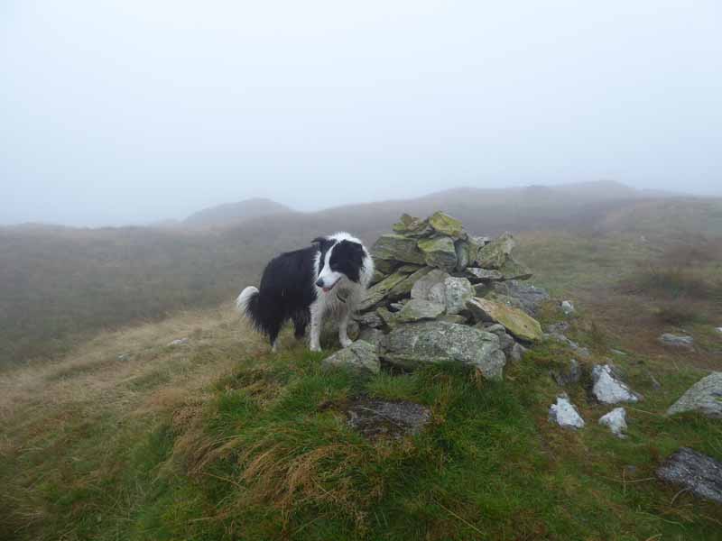 Molly Tarn Crag