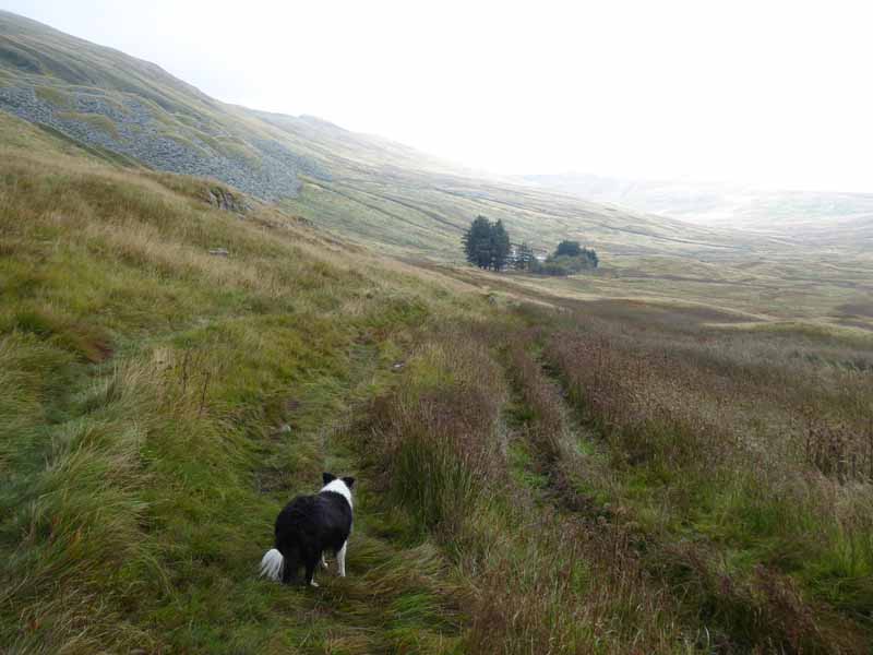 Mosedale Cottage