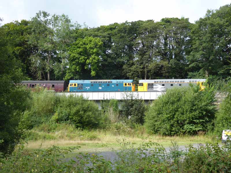 Diesel Trains