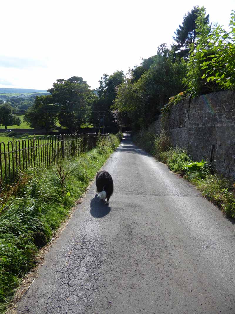 Oakworth