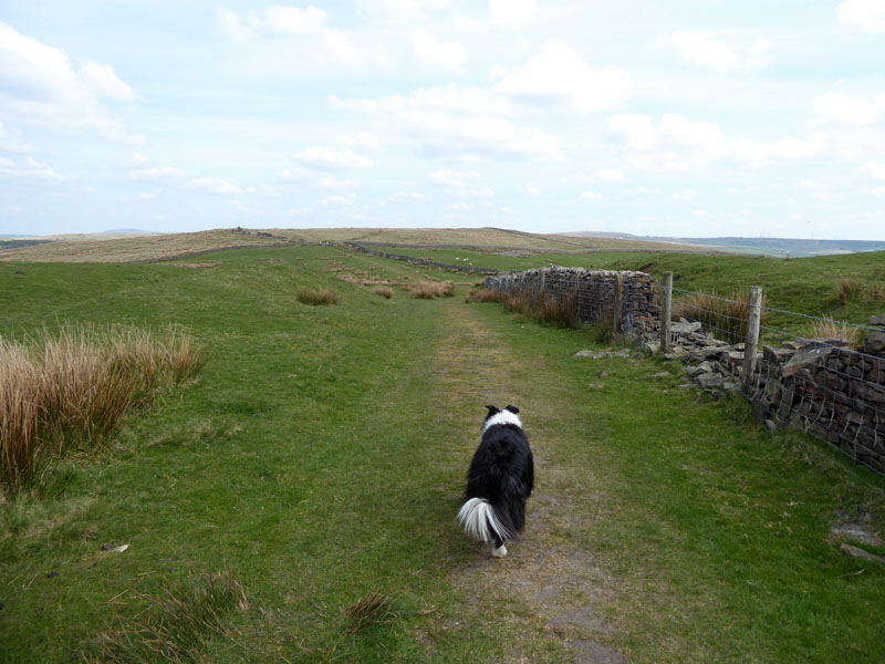 Rossendale Way