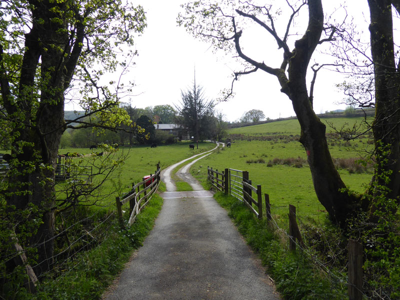 Honey Holme Lane