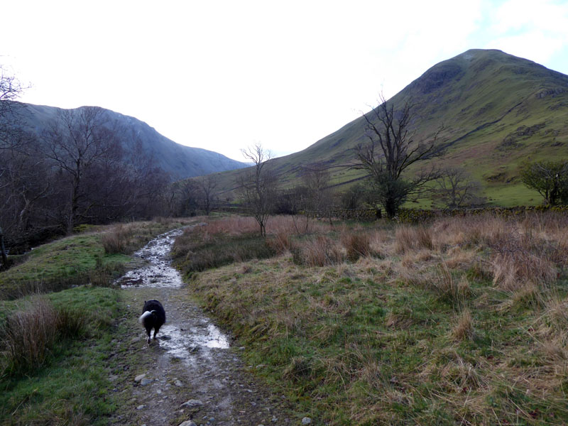 Hartsop