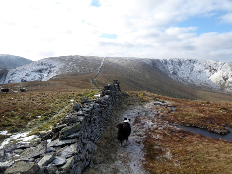 Caudale Moor