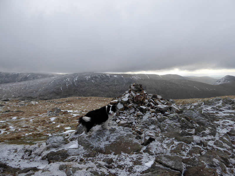 Stony Cove Pike