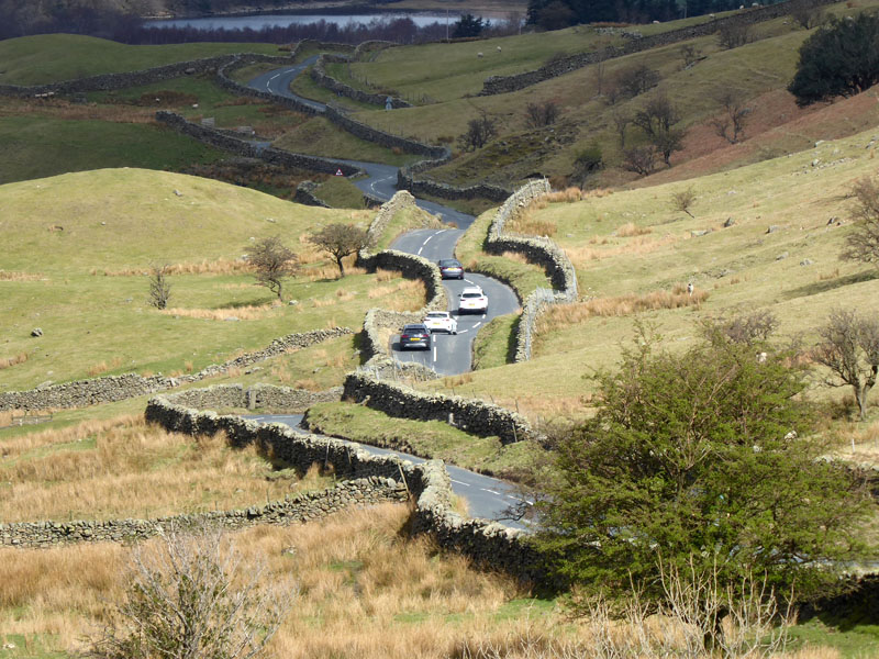 Wavy Road