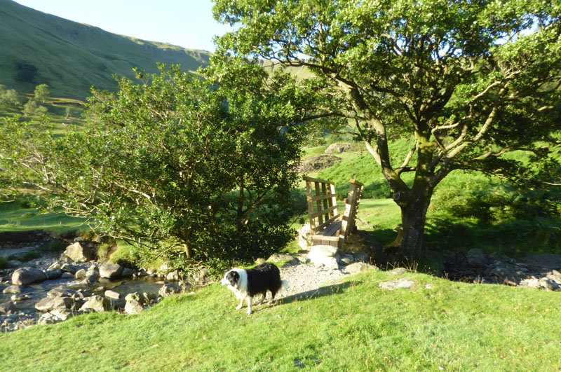 Dovedale Bridge