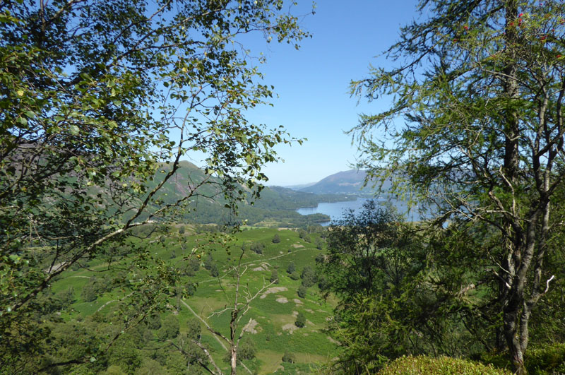 Grange Fell View