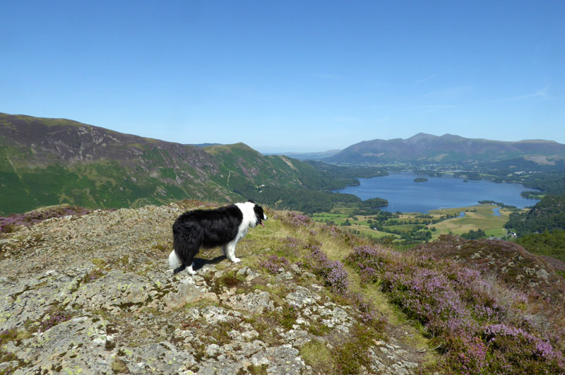 Molly on top of King's How