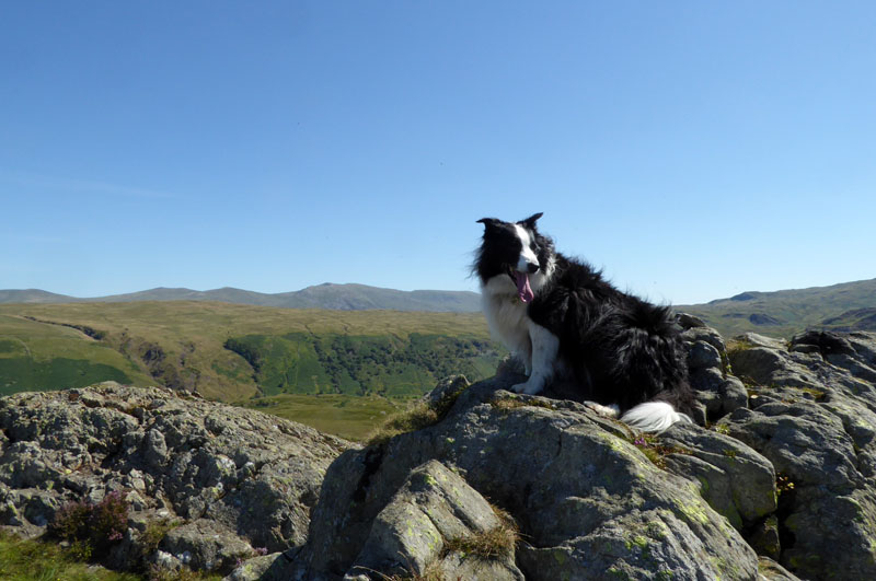 Brund Fell Summit