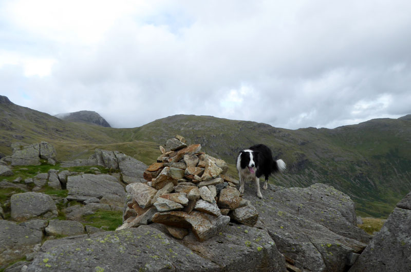 Molly Rossett Pike