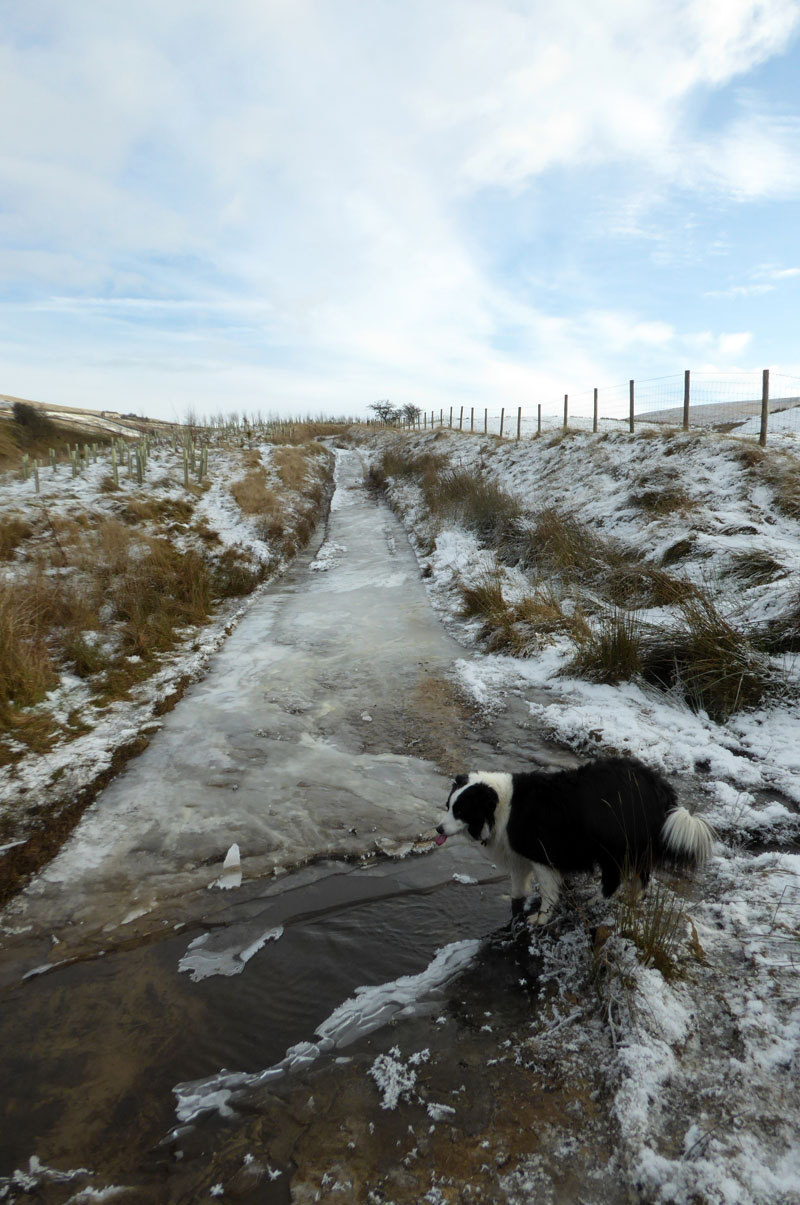 Frozen Path