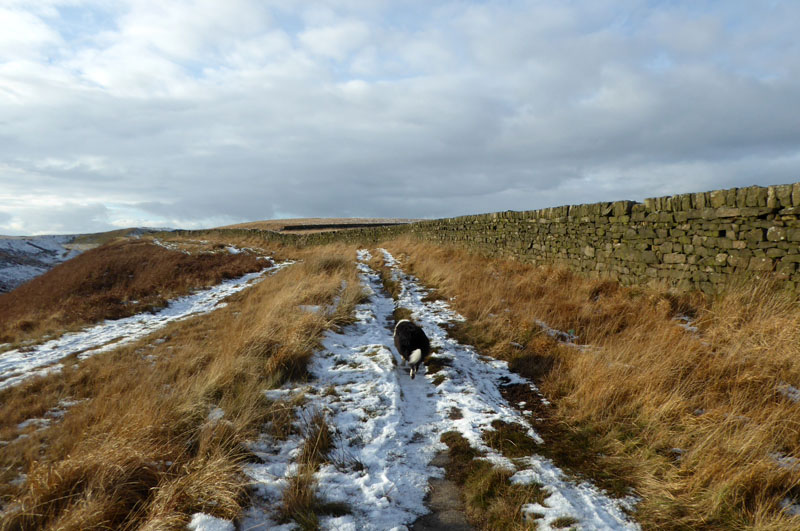 Pennine Bridleway