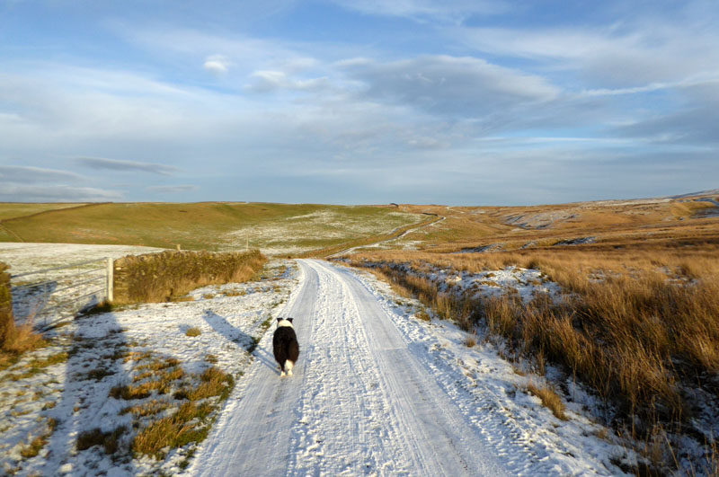 Pennine Bridleway