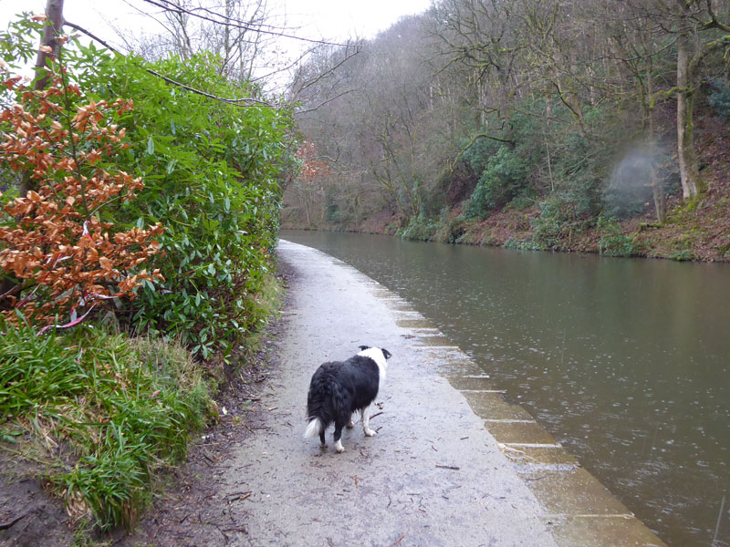 Rochdale Canal