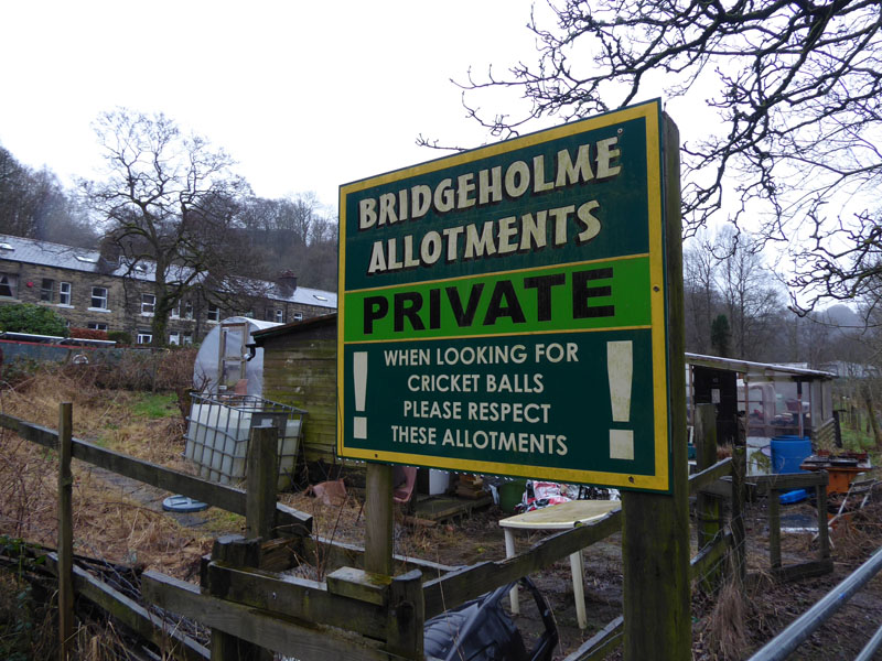 Bridgeholme Allotments