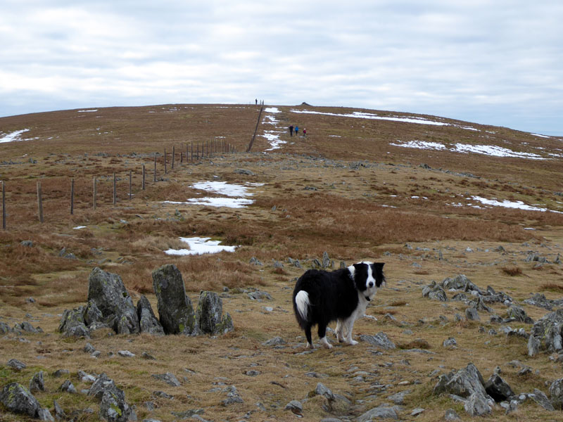 Harter Fell