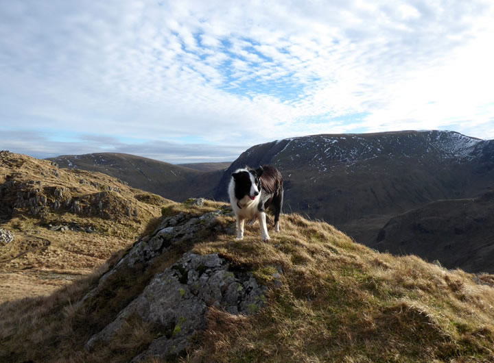 Molly on Rough Crag