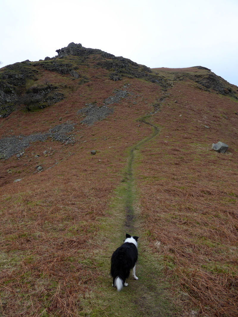 Greathead Crag