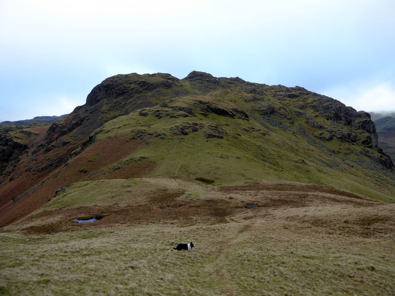 Tarn Crag
